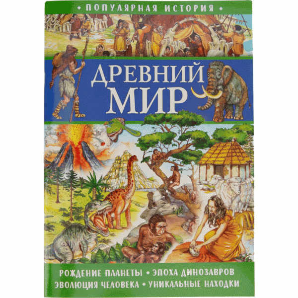 Книга Популярная история - в магазине «Чижик»