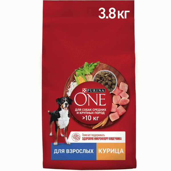 Корм Purina One сухой для собак с курицей 3.8кг - в магазине «Чижик»