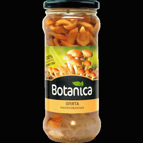 Опята Botanica маринованные 370мл - в магазине «Чижик»