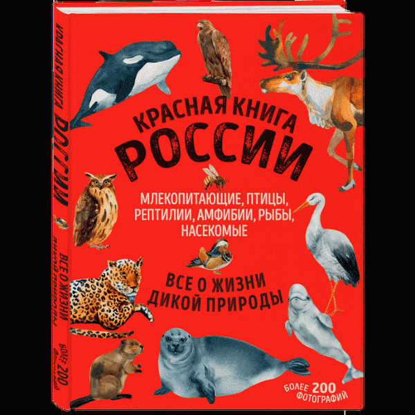 Красная книга России все о жизни дикой природы 144стр - в магазине «Чижик»