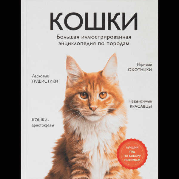 Книга Большая иллюстрированная энциклопедия - в магазине «Чижик»