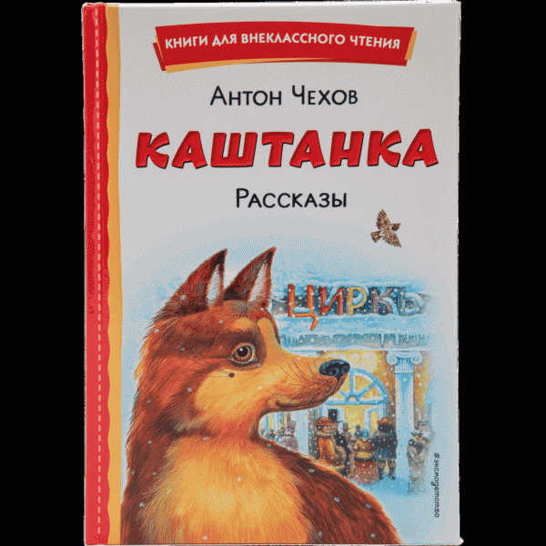 Книга для внеклассного чтения - в магазине «Чижик»