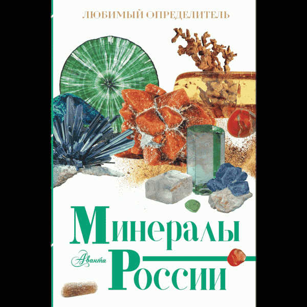 Книга Любимый определитель - в магазине «Чижик»