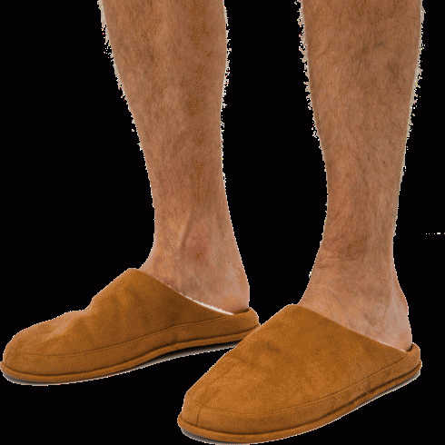 Тапочки Family Collection мужские 41-46р - в магазине «Чижик»
