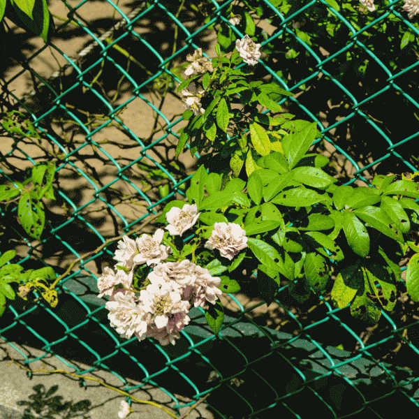 Сетка-рабица Garden Collection садовая 1х5м - в магазине «Чижик»