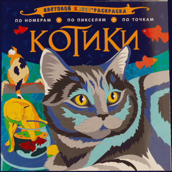 Книга Цветовой Квест-Раскраска 24стр - в магазине «Чижик»